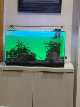 Acuario Completo