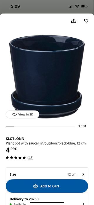 Plantas y macetas decorativos