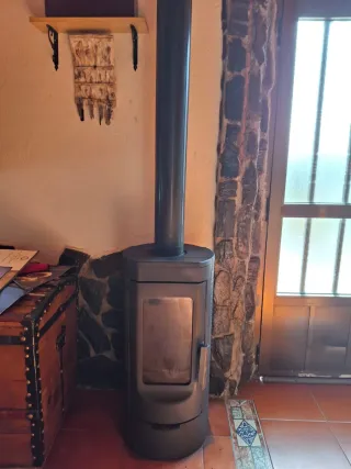 Estufa de leña moderna