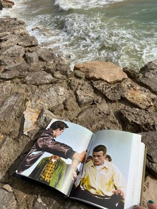 REBELDE SIN CAUSA (Rebel Without a Cause)