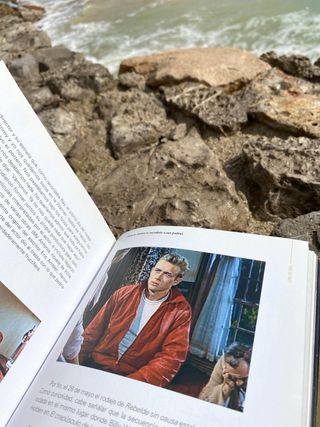 REBELDE SIN CAUSA (Rebel Without a Cause)