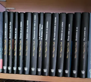 Lote de 16 libros de Mary Higgins Clark