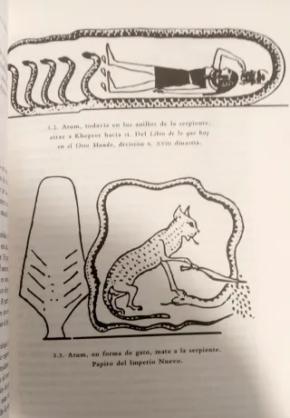 Libro El Templo del Cosmos