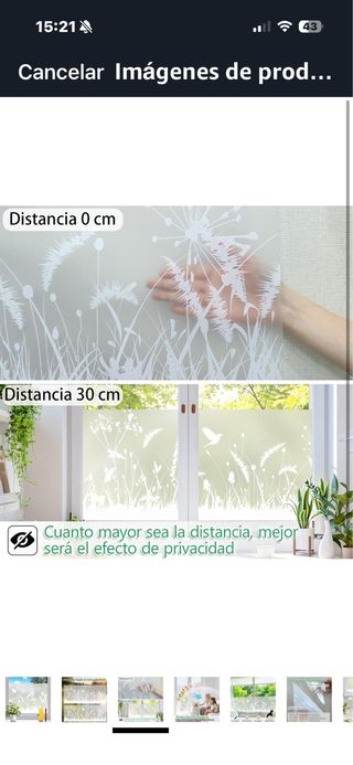 Vinili decorativi per vetri