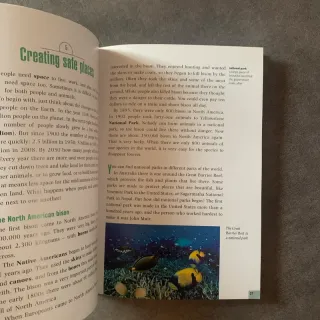 Dominoes, New Edition: Level 2: 700-Word Vocabu...