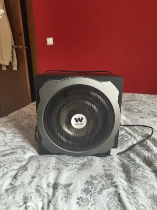Altavoz de bajos Woxter