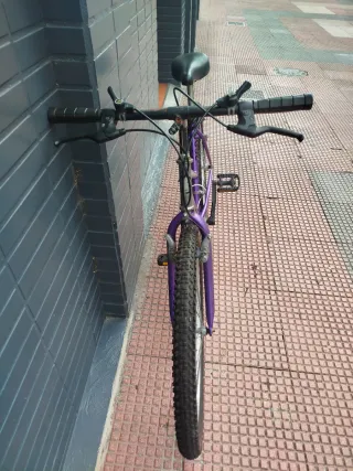 Bicicleta Montaña Morada 2600