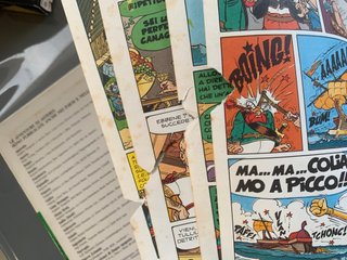 ASTERIX e la Zizzania - 1 ed. 1984 (ITA)