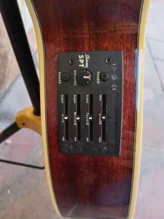 GUITARRA CLÁSICA ELECTRIFICADA IBANEZ AEG10NE NT