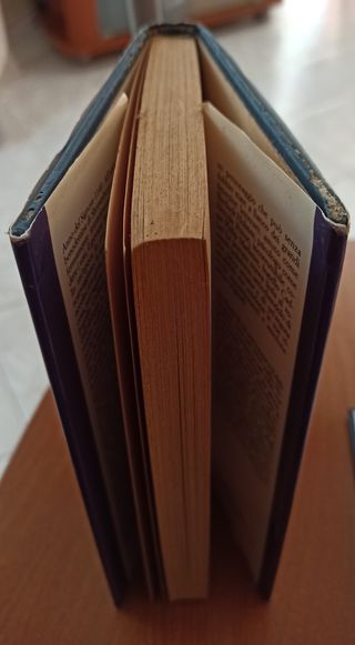 Il novizio del diavolo