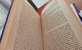 Il novizio del diavolo