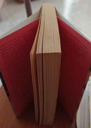 I segreti del Duca di Belfield