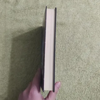 La promesa del rey brujo ( reinos olvidados )