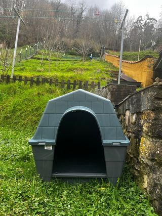 Caseta perro grande gris/verde