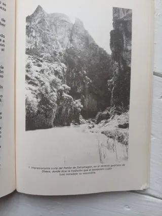 El Bandolerismo Andaluz. Tomo 2