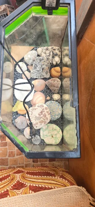 Pecera  con bomba y accesorios