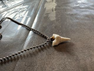 Collana dente di squalo