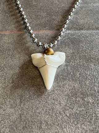Collana dente di squalo