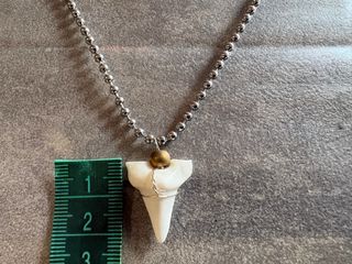Collana dente di squalo