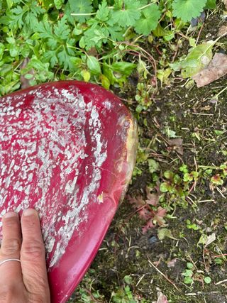 Tabla Surf Gold Beach Custom 8'3 70L