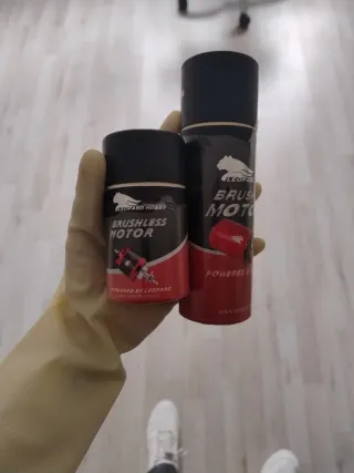 Motor Eléctrico sin Escobillas Leopard