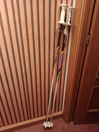 Bastones Esquí Alpino