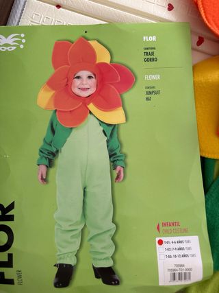 Disfraz niño flor