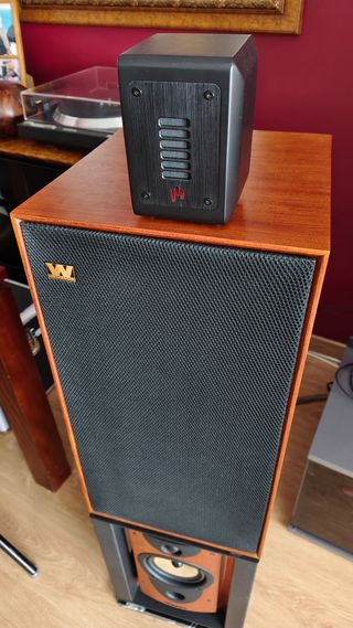 LINTON +SUPER Twitters APERION +SOPORTE WHARFEDALE