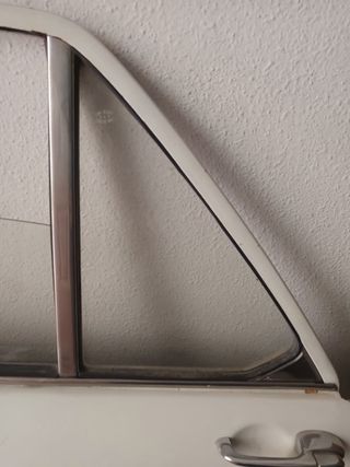 Puerta trasera izquierda Austin Victoria