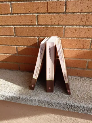 Cantar de Mio Cid .Tres volúmenes I, II, III.