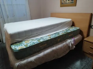 Si lo quieres ven a recogerlo Gratis en Carcaixent