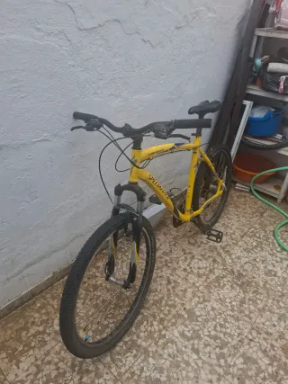 Bicicleta Amarilla