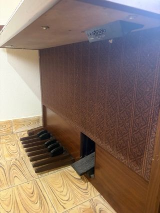 Órgano Eléctrico Vintage