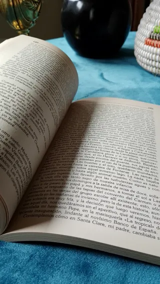 Guadalajara, crónicas de la infancia (1924-1936)