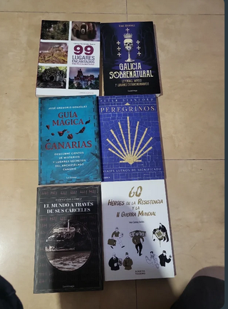 lote guias de viaje y otros varios. precio x todo