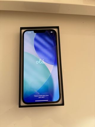 iPhone 13 Pro Max 512gb