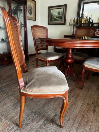 Mesa comedor + 4 sillas y 2 butacas