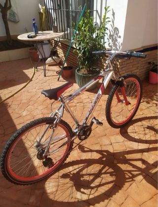 Bicicleta de Montaña Racer