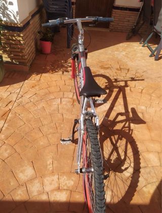 Bicicleta de Montaña Racer