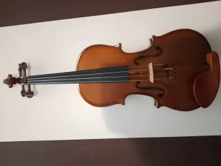 Violín Stentor 4/4 comprado  en Valenciaviolins