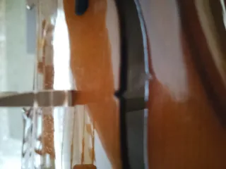 Violín Stentor 4/4 comprado  en Valenciaviolins