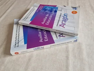 Auxiliar educacion especial