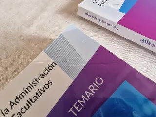 Auxiliar educacion especial