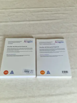 Auxiliar educacion especial