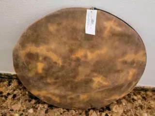 Fondo Fotográfico Plegable Profesional Condor Foto