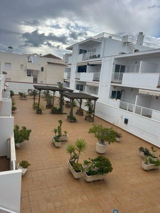 Alquiler apartamento