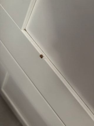 2 Cómodas BRIMNES IKEA Blancas acepto ofertas