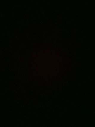 Comisión bozal para beastmaws