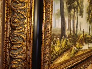 Cuadro paisaje bosque lluvioso