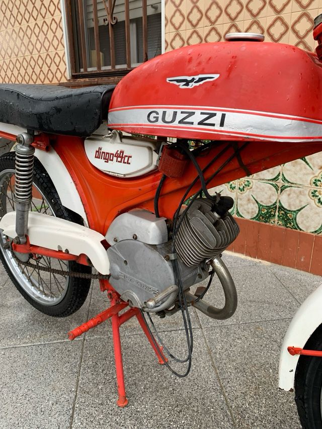 Guzzi Dingo